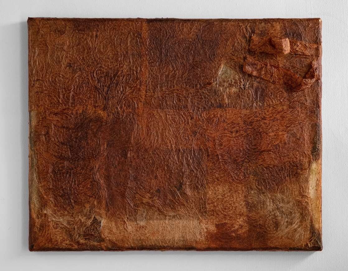 Ishai Kalter Shapira — Formed By Sameness, 2021 — 2024