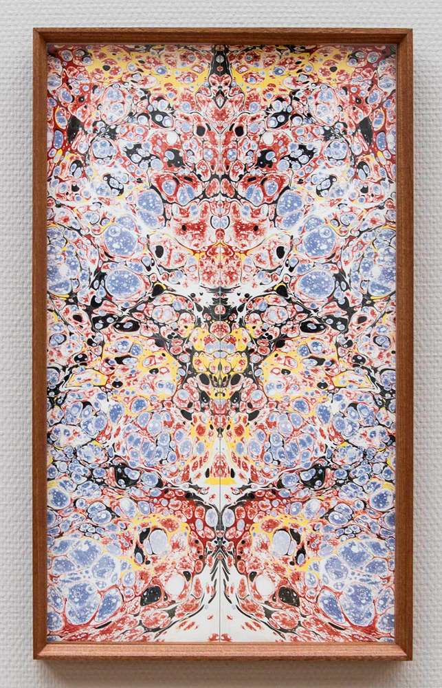 Maayan Elyakim — Untitled (Bookmatch), 2015