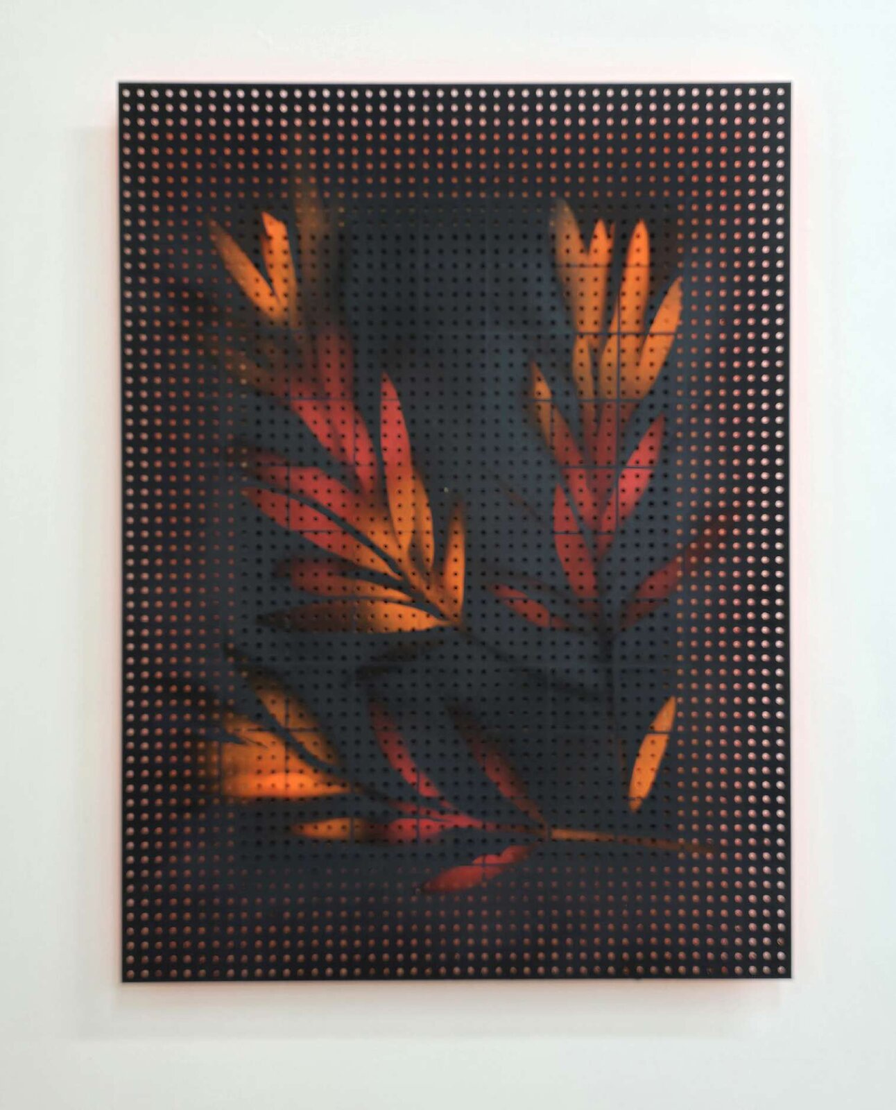 Jossef Krispel — Untitled (Oleander), 2024