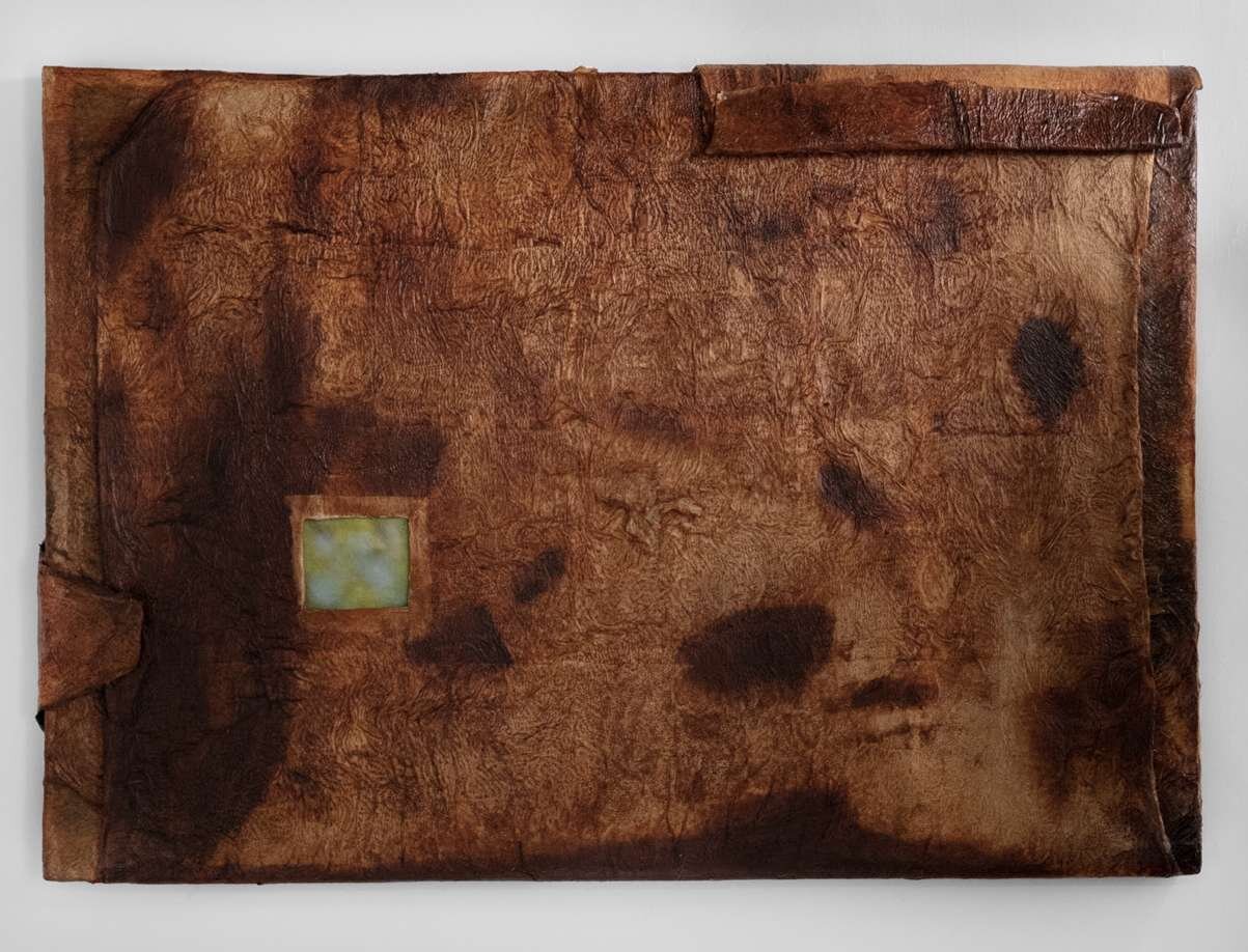 Ishai Kalter Shapira — That Envelope, 2023 — 2024