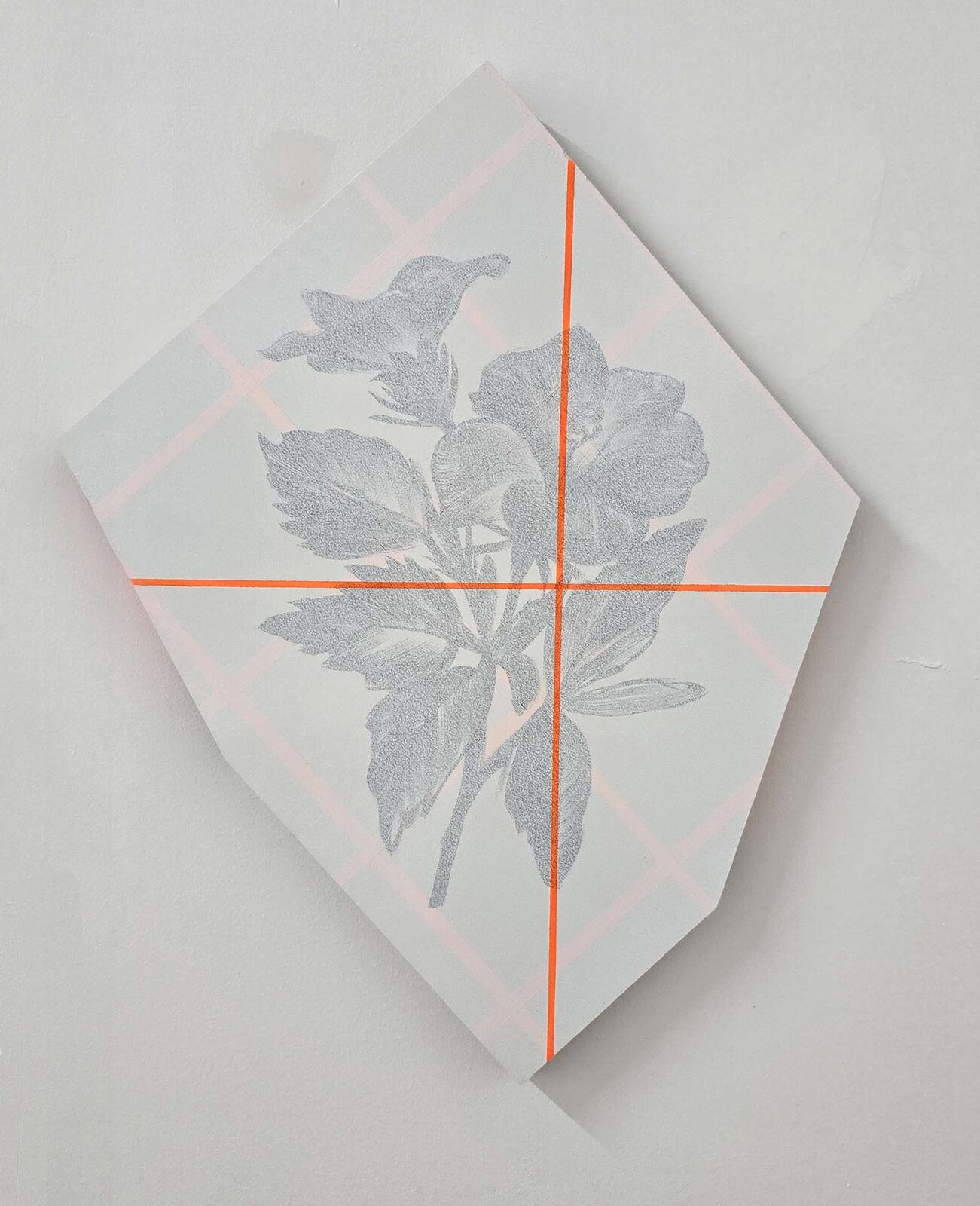 Jossef Krispel — Untitled (Hibiscus), 2024